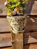 Brocante hangpot steen, Ophalen, Steen, Rond, Zo goed als nieuw