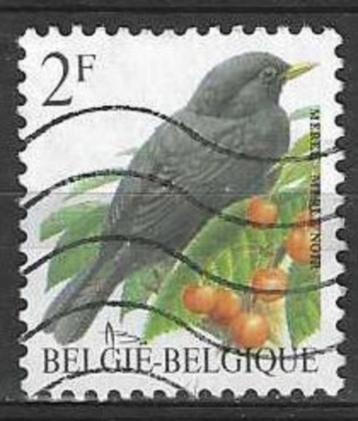 Belgie 1992 - Yvert 2458 /OBP 2458 - Merel (ST) beschikbaar voor biedingen
