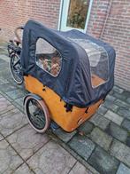 Elektrische bakfiets Vogue Carry 3 – zeer nette staat, Ophalen, Zo goed als nieuw, 4 kinderen of meer