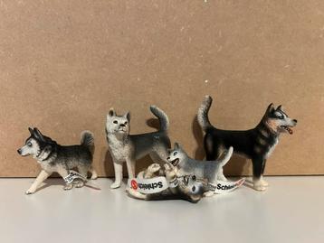 Schleich husky honden beschikbaar voor biedingen
