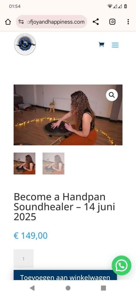 Workshop - Become a Handpan Soundhealer, Muziek en Instrumenten, Percussie, Nieuw, Melodische percussie, Ophalen