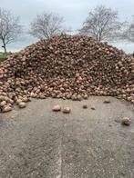 Voederbieten te koop, Zakelijke goederen, Ophalen of Verzenden