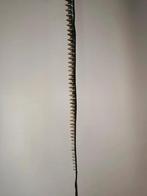 Lak riem met spikes - 110 CM - Gothic - Goth - Black Metal, Kleding | Dames, 100 cm of meer, Zwart, Heupriem, Ophalen of Verzenden