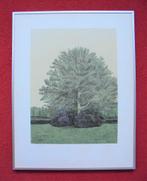 Sees Vlag. 1934-2018."Park"., Antiek en Kunst, Kunst | Litho's en Zeefdrukken, Ophalen