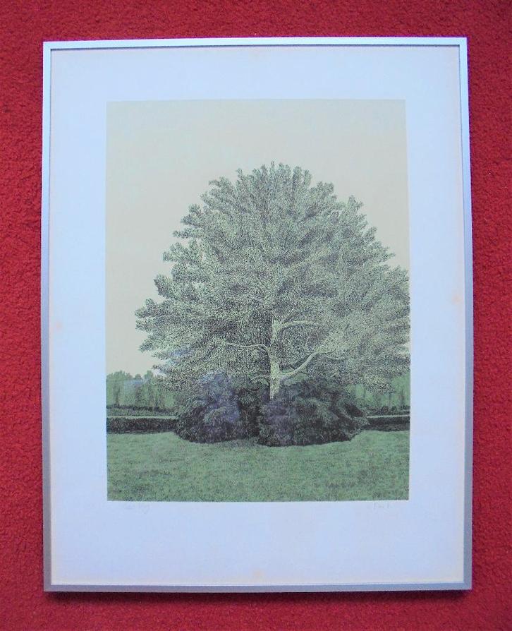 Sees Vlag. 1934-2018."Park"., Antiek en Kunst, Kunst | Litho's en Zeefdrukken, Ophalen