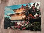 Grote print op aluminium van Golden Palace Kyoto Japan, Huis en Inrichting, Woonaccessoires | Schilderijen, Tekeningen en Foto's