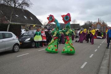 Carnavalskleding 2personen -maat M+L -helemaal compleet-€350 beschikbaar voor biedingen