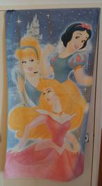 5 Badlakens disney., Huis en Inrichting, Badkamer | Badtextiel en Accessoires, Ophalen of Verzenden, Zo goed als nieuw, Overige typen