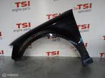 Scherm links-voor van een Audi RS3 (LZ9Y), Gebruikt, -, -, -