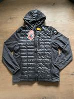 Parajumper Jas XL - Nieuw!, Ophalen of Verzenden, Nieuw, Maat 56/58 (XL), Grijs