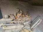 Haardhout: Notenboom, Eikenboom Masthout - 2m3, Tuin en Terras, Minder dan 3 m³, Ophalen, Overige houtsoorten, Stammen
