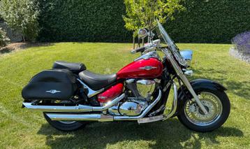 Prachtige Suzuki C 800 Intruder Classic 2013 super netjes beschikbaar voor biedingen