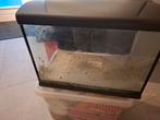 Hs aqua aquarium  50 bij 30 cm, Ophalen of Verzenden, Zo goed als nieuw, Leeg aquarium