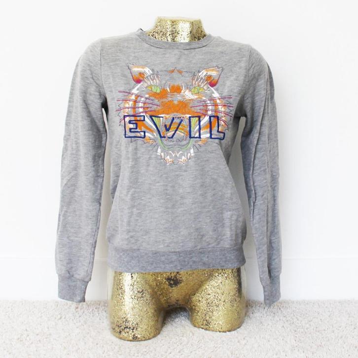 Zeer Mooie April Evil Trui (XXS) - 43 € 15,-, Kleding | Dames, Truien en Vesten, Zo goed als nieuw, Maat 34 (XS) of kleiner, Grijs