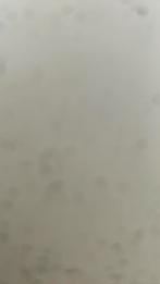 Mat onderplaat, Auto diversen, Auto-accessoires, Ophalen of Verzenden, Gebruikt