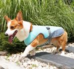 Honden koelvest maat XL, Dieren en Toebehoren, Ophalen of Verzenden, Nieuw, Overige hondenkleding