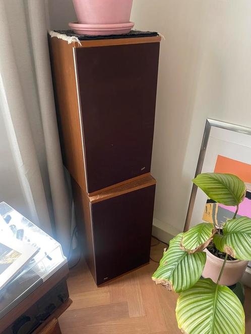 70's HIFI Speakers - B&W DM2 mk1, Audio, Tv en Foto, Luidsprekers, Gebruikt, Front, Rear of Stereo speakers, Overige merken, Ophalen