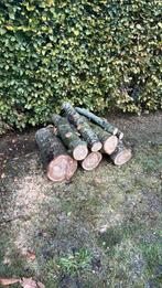Kachelhout/stamhout Tamme kastanje, Tuin en Terras, Haardhout, Ophalen