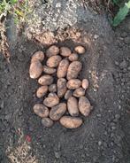 Friet aardappelen, Diversen, Ophalen