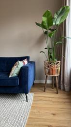 Stijlvolle 2,5-zits bank van Dyyk, Ophalen, Gebruikt, Driepersoons, 75 tot 100 cm