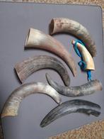 Te koop hoorns 7 stuks bieden, Ophalen