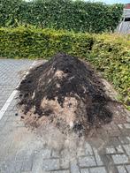 Zand uit plantenbak, Tuin en Terras, Aarde en Mest, Ophalen of Verzenden, Tuinaarde