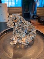 Grizzly  met jong van Swarovski, Ophalen of Verzenden, Zo goed als nieuw, Figuurtje