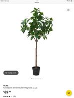 Ikea Fejka Kunstplant 190 cm - Perfecte Staat!, Ophalen, Overige soorten, Halfschaduw, In pot