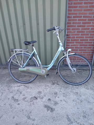 |Gazelle orange plus 53 cm 7 ver| beschikbaar voor biedingen