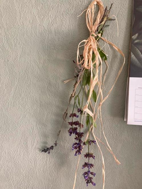 Bundeltje salie blad BIO onbespoten, Tuin en Terras, Planten | Tuinplanten, Volle zon, Zomer, Ophalen