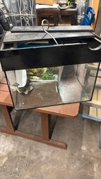 Gratis aquarium/ terrarium, Ophalen, Gebruikt, Leeg aquarium