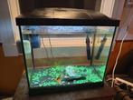 Superfish aquarium 45 liter, Dieren en Toebehoren, Vissen | Aquaria en Toebehoren, Ophalen, Zo goed als nieuw, Leeg aquarium