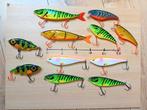 9 x Berkley Zilla en 2 x Spro Iris flash jerk, Watersport en Boten, Ophalen, Zo goed als nieuw, Overige typen