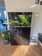 Aqualantis aquarium 160 liter incl kast en pomp/filter oase, Dieren en Toebehoren, Ophalen, Zo goed als nieuw, Leeg aquarium
