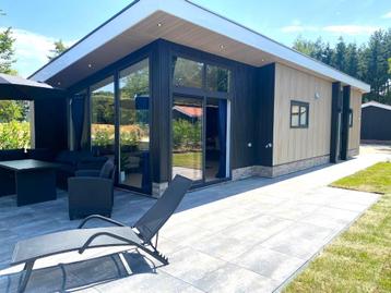 Luxe Nieuwe Chalet Residence Winterswijk Te Koop Recreatie beschikbaar voor biedingen