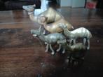 5 messing kamelen, Ophalen of Verzenden, Gebruikt, Boerderijdier, Beeldje of Figuurtje