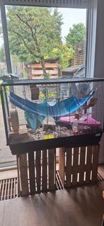 Knaagdieren ratten/hamsters kooi, Kooi, Minder dan 75 cm, Zo goed als nieuw, Hamster