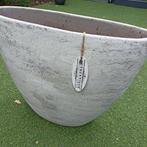 Authentique grijstinten lichtkleur bloem plant, Tuin en Terras, Binnen, Zo goed als nieuw, Overige vormen, 40 tot 70 cm