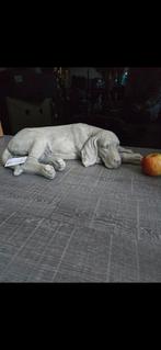 Schitterende liggende hond 58 x 35 x 15 cm, Ophalen of Verzenden, Dier