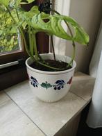 boerenbont bloempot maat M18, Ophalen, Gebruikt, Rond, Minder dan 25 cm