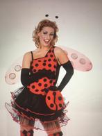 Leuk lieveheersbeestje jurk maat 44 met extra’s, Kleding | Dames, Ophalen of Verzenden, Zo goed als nieuw, Maat 42/44 (L), Carnaval