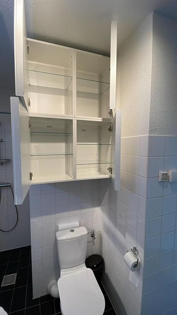 Ikea Besta Cabinet