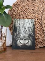 Schotse Hooglander Foto Print, Huis en Inrichting, Oorspronkelijke maker, Ophalen of Verzenden, Zo goed als nieuw, Foto of Poster