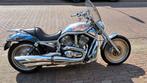Ze rijdt als een beest. Staat hier als een plant. HD v-rod, 2 cilinders, Chopper, 1130 cc, Particulier