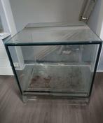 Mooie terrariums 50x50x50, Dieren en Toebehoren, Ophalen of Verzenden