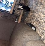 Katten., Ophalen of Verzenden, Zo goed als nieuw, Krabton