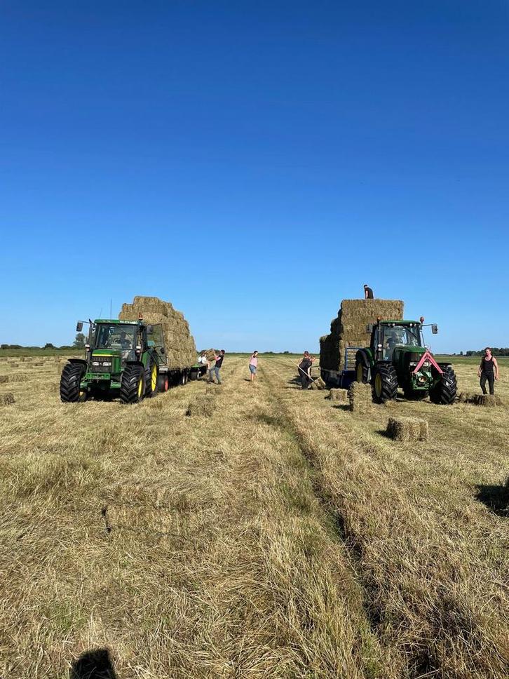 Hooi oogst 2025 rondebalen 2025 kuil voordroog, Dieren en Toebehoren, Dierenvoeding, Vee, Ophalen
