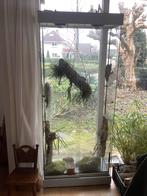 Vitrinekast-terrarium zonder planten!, Ophalen, Gebruikt, Terrarium of Paludarium