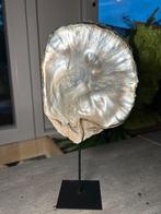 Parelmoer Schelp op Voet - Decoratief - woondecoratie, Antiek en Kunst, Curiosa en Brocante, Ophalen of Verzenden