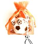 Voetbal cadeautjes en nog veel meer!, Overige typen, Nieuw, Maat L, Ophalen of Verzenden